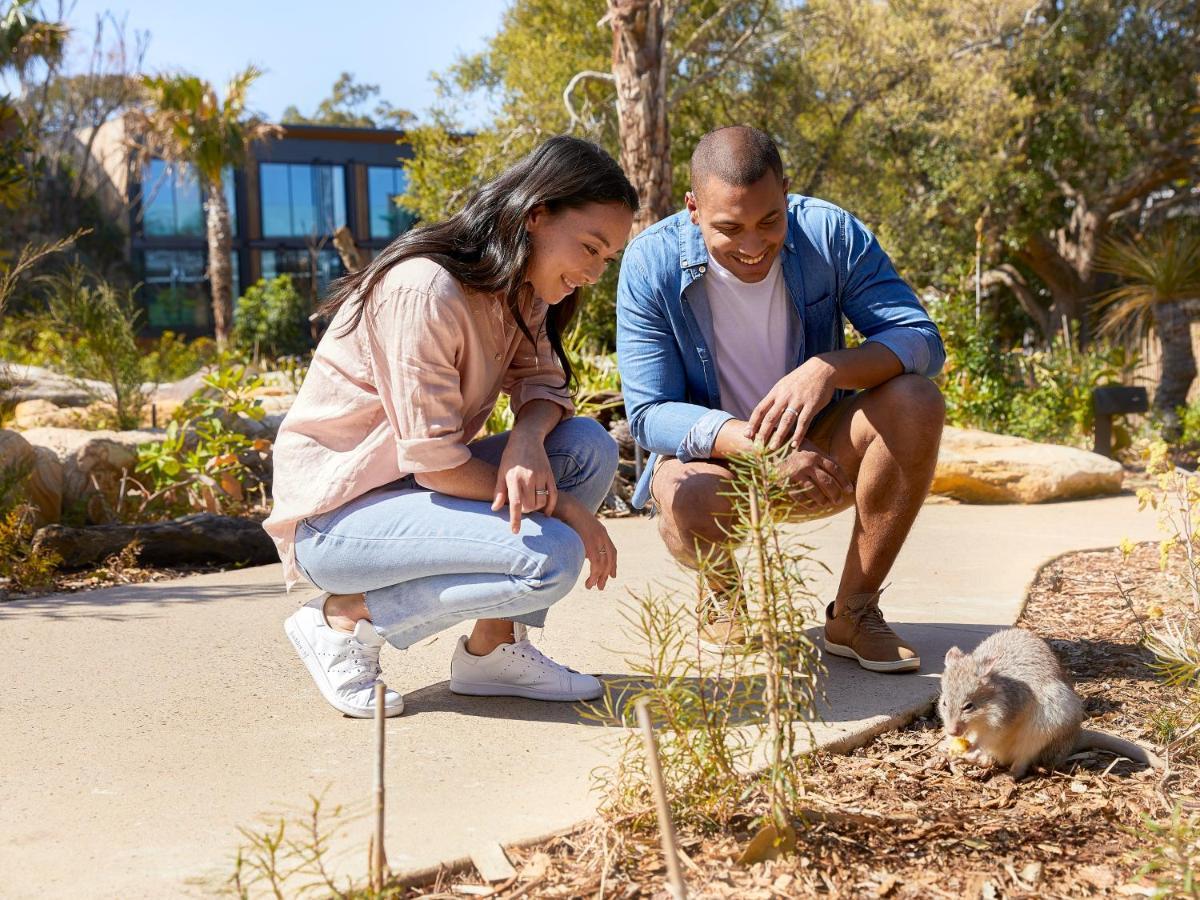 מלון סידני Wildlife Retreat At Taronga מראה חיצוני תמונה