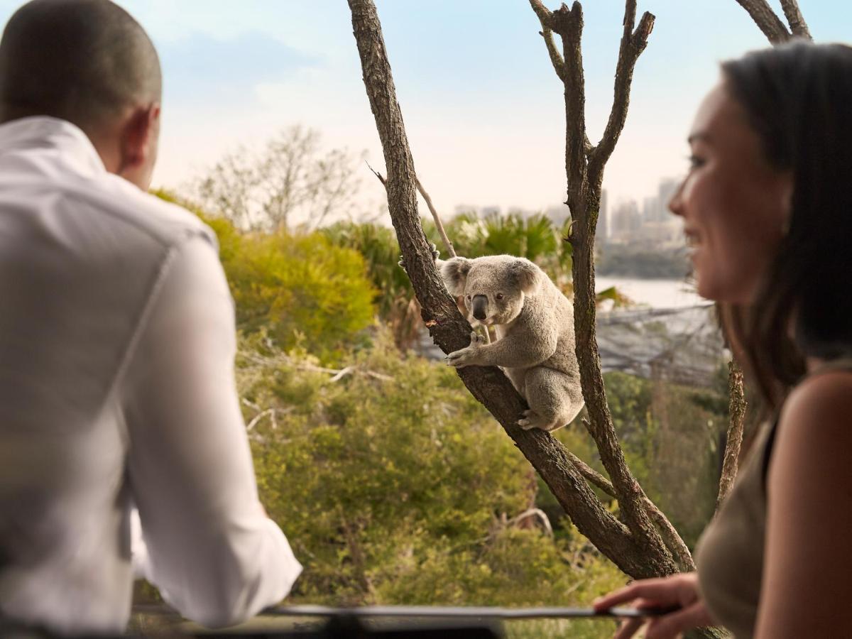 מלון סידני Wildlife Retreat At Taronga מראה חיצוני תמונה